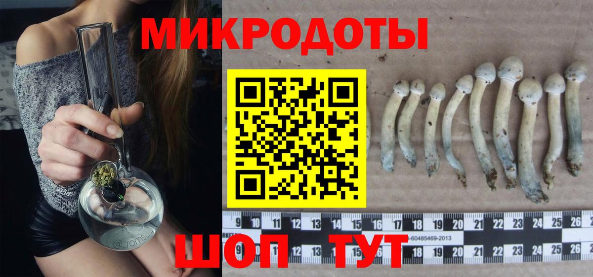 где найти   Вход с VPN  Кирово-Чепецк  Галлюциногенные грибы GOLDEN TEACHER 