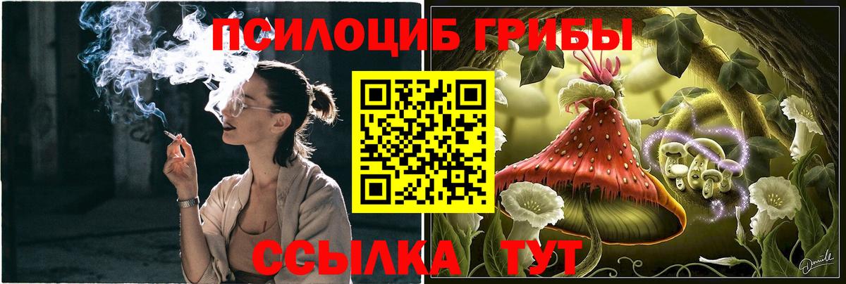 Псилоцибиновые грибы прущие грибы Кирово-Чепецк